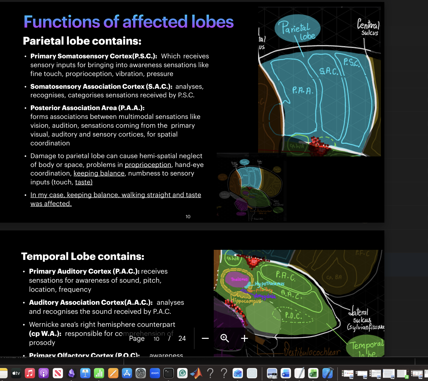 Slide showing one of the affectedted lobe, its functions, related symptoms